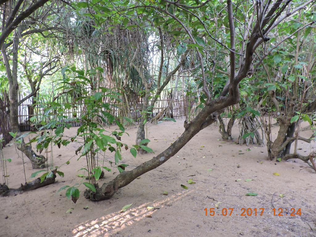 Akain Villa Dodanduwa ภายนอก รูปภาพ