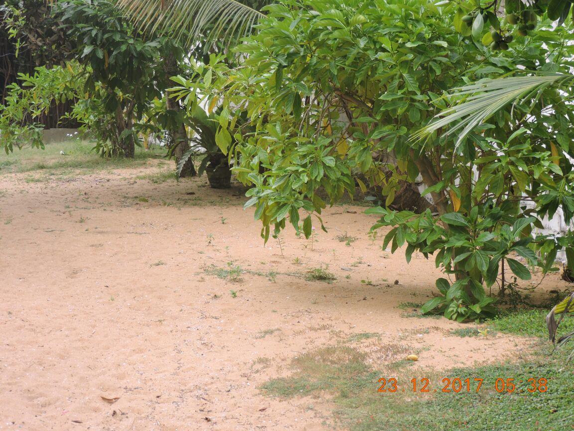 Akain Villa Dodanduwa ภายนอก รูปภาพ