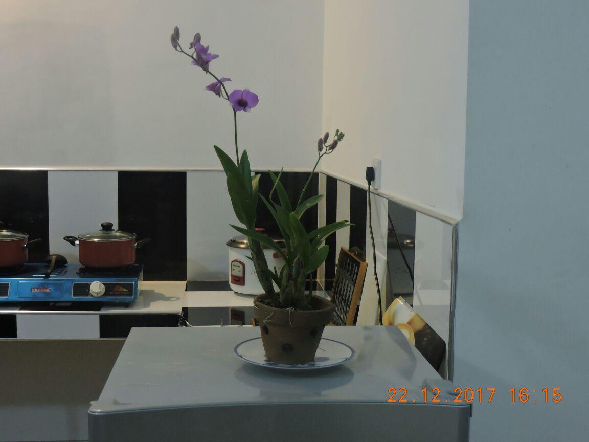 Akain Villa Dodanduwa ภายนอก รูปภาพ