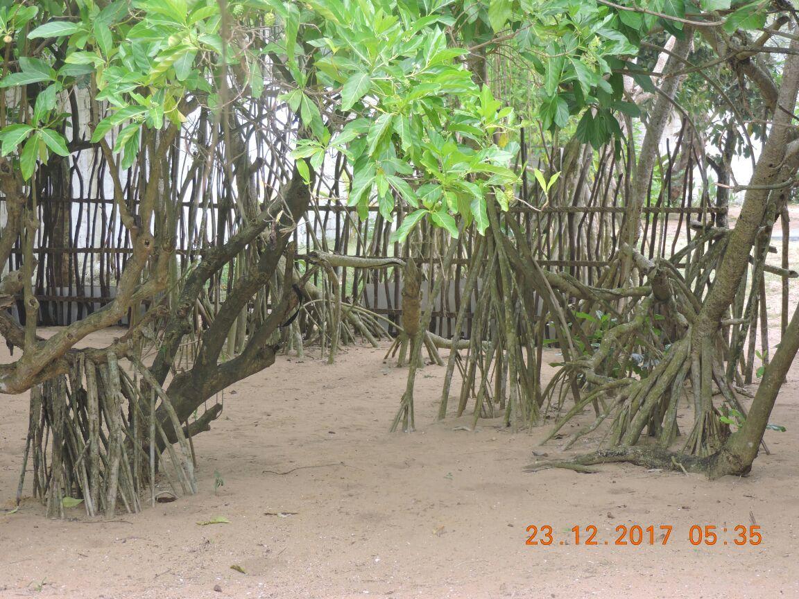 Akain Villa Dodanduwa ภายนอก รูปภาพ