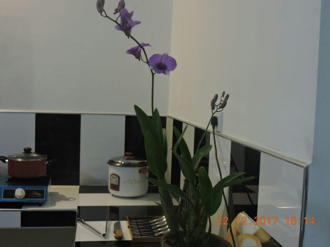 Akain Villa Dodanduwa ภายนอก รูปภาพ